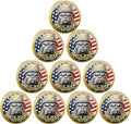 USMC 250th Anniversary Challenge Coin – Double-Sided Marine Corps Commemorative with Bulldog & Iwo Jima – Military Gift for Veterans & Collectors (10PCS)