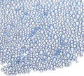 Iridescent Glass Tiny Bubble Beads, 0.4-3mm 10g No Hole Micro Mini Round Sky Blue Water Droplets Beads - Applications: for Resin Filler, Nail Art, Dollhouse Bath Tub