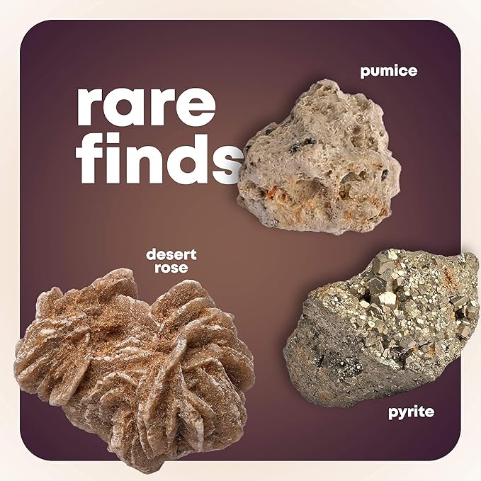 Dan&Darci Rock Collection for Kids - Includes 250+ Bulk Rocks, Gemstones & Crystals + Genuine Fossils and Minerals - 2 Lbs. - Geology Earth Science STEM Toys Activity, Gifts for Boys & Girls Ages 6+