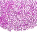Iridescent Glass Tiny Bubble Beads, 0.4-3mm 10g No Hole Micro Mini Round Deep Purple Water Droplets Beads - Applications: for Resin Filler, Nail Art, Dollhouse Bath Tub