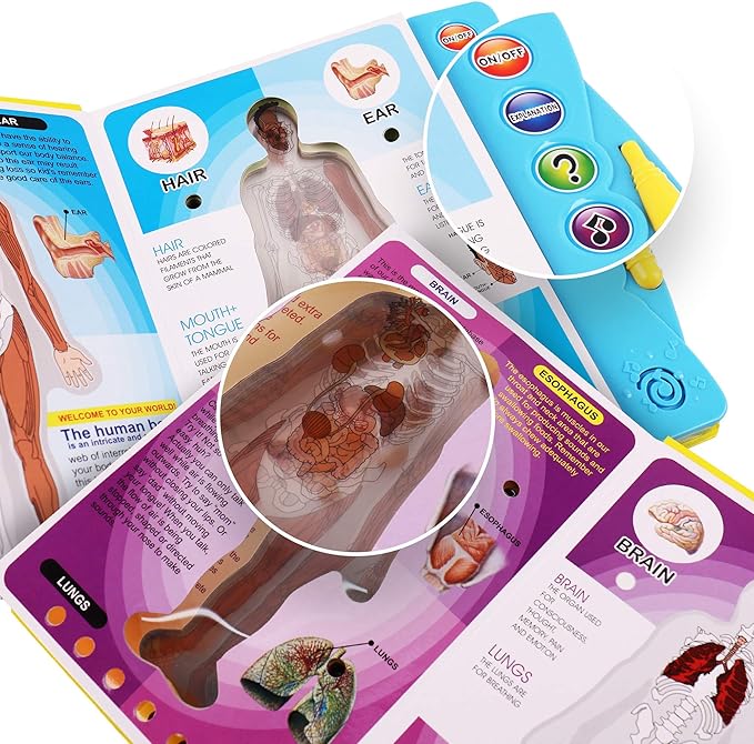 Human Body Book for Kids. Anatomy Book for Kids with Illustrated and Voice Guide to Different Parts of Body.This Human Body Activity and Science Book Makes Learning Fun.