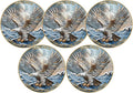 5Pcs 1.57 Inch Zinc Alloy Double-Sided 3D Eagle Challenge Coin - Colorful Inspirational Design with Isaiah 40:31, Strength in The Storm Theme(Pack of 5)
