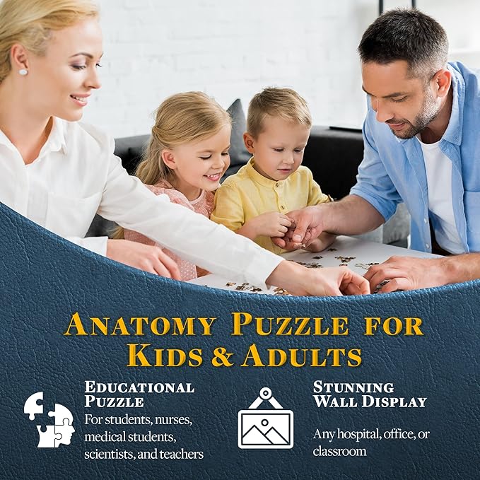 Dr. Livingston's Human Heart Anatomy Puzzle - A Medically Accurate Jigsaw Puzzle of the Heart Section - Educational Organ Puzzle for Teens & Adults - Unique Science Gift for Doctors, Nurses & Teachers