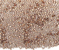Iridescent Glass Tiny Bubble Beads, 0.4-3mm 10g No Hole Micro Mini Round Mauve Water Droplets Beads - Applications: for Resin Filler, Nail Art, Dollhouse Bath Tub