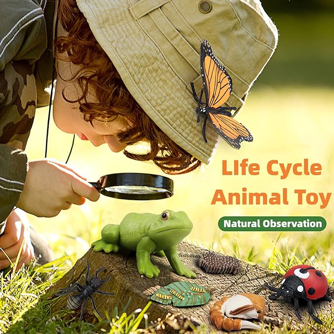 Montessori Life Cycle Animal Figures with Flash Cards, Realistic Animal Figurines Toy, Educational Matching Game for 3+ Year Old Toddlers Kids (Ladybug)