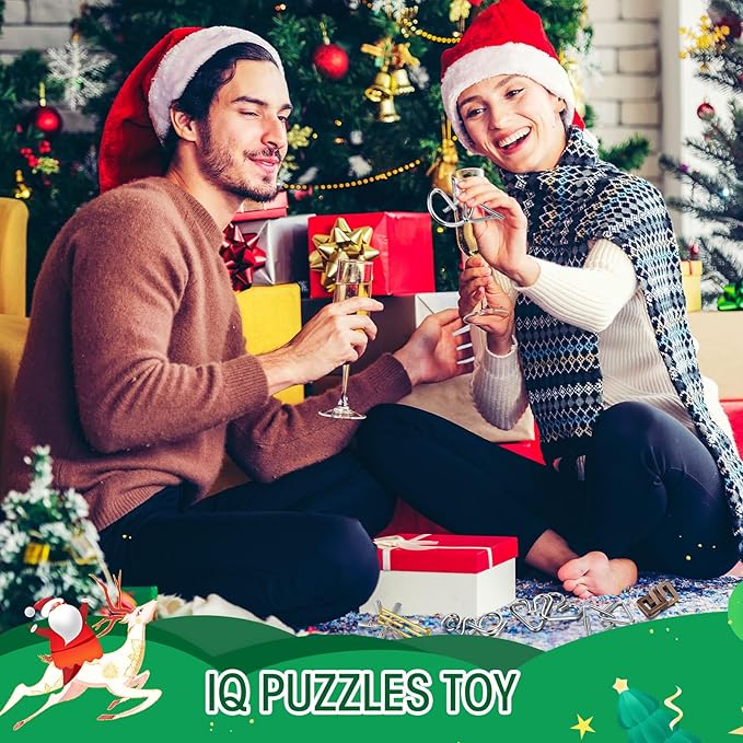 25 Pcs Brain Teaser Puzzles for Adults and Teens Metal Cast 3D Unlock Interlocking IQ Puzzle Toys Educational Smart Gifts