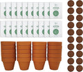 BUZZY Daisy Seeds & Genuine Terracotta 5cm Mini Pot Bulk Pack (20 Count), Includes 20 Each of pots, Soil pellets and Seeds - Great for Favors, Crafts, School Projects - Guaranteed to Grow