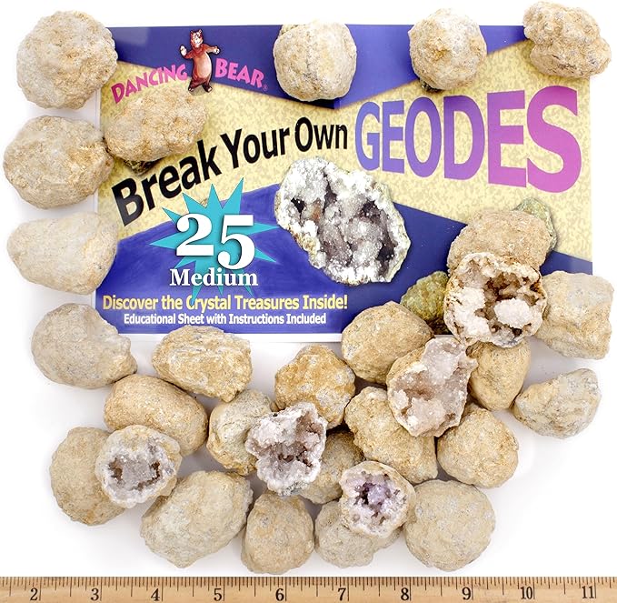 DANCING BEAR 25 Break Your Own Geodes, (Medium 1-1.5") 90% Hollow, Crack Open & Discover Amazing Surprise Crystals Inside! Educational Info and Instructions Included, Fun Party Favors & Prizes