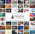 metaFox | Leading Change Postcards Pack | 52 Cards for Coaching & Change Management | Based on the 8-Step Process for Leading Change by John P Kotter