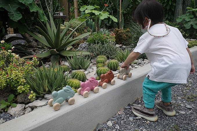PlanToys Push Along Bunny (Pink)