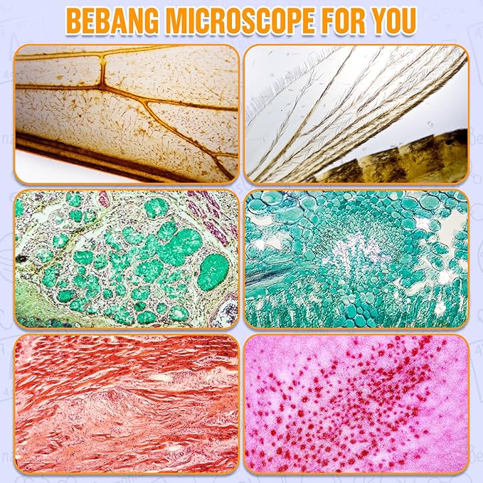 Handheld Portable Pocket Microscope for Kids - BEBANG Mini Lab Kids Microscope with 5 Prepared Slides LED Portable Microbiological Observation Miniscope Tool for Science Exploration